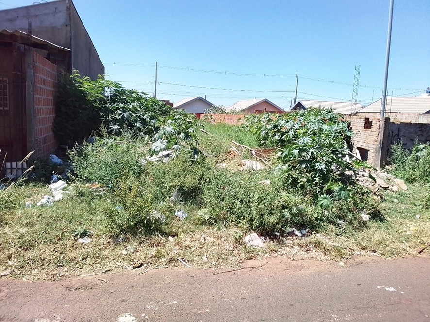 Prefeitura intensifica fiscalização de terrenos com mato alto