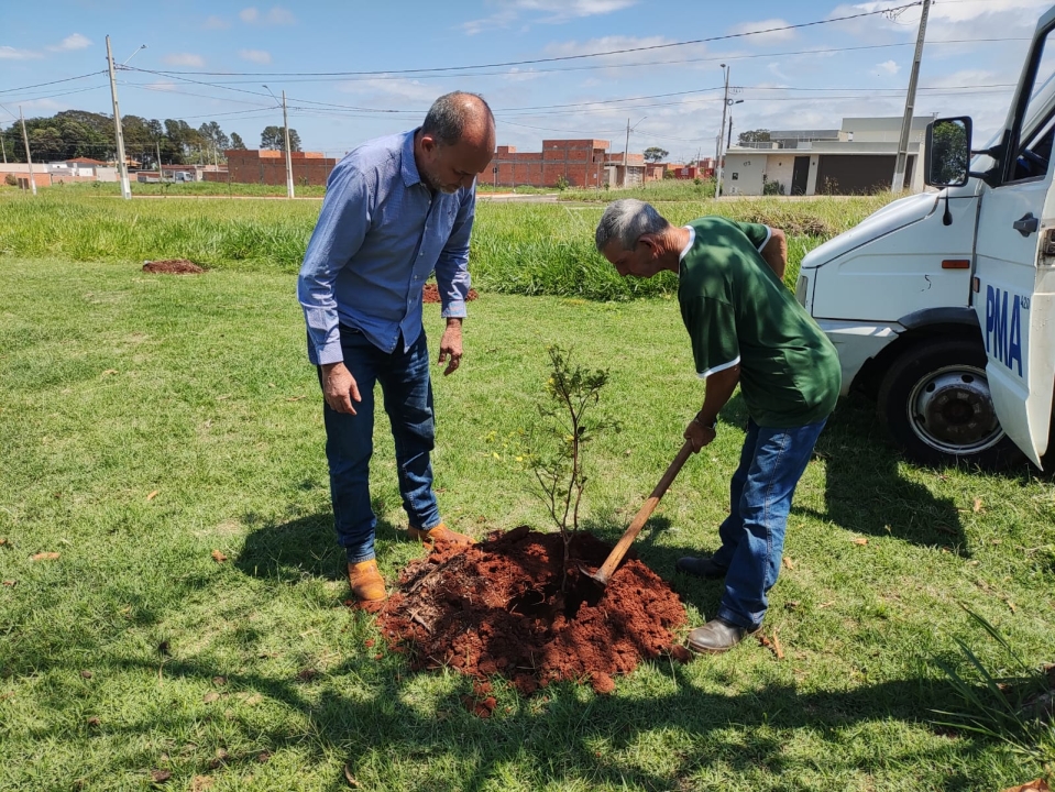Prefeitura de Assis realiza plantio de 55 árvores frutíferas no Parque Universitário