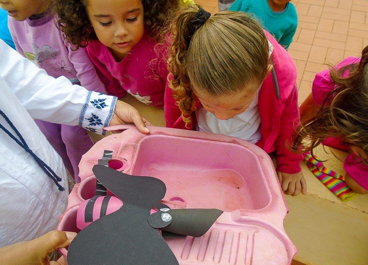 Combate ao mosquito transmissor da Dengue