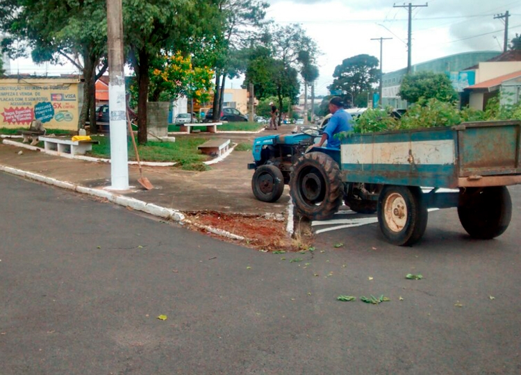 Limpeza cemitério