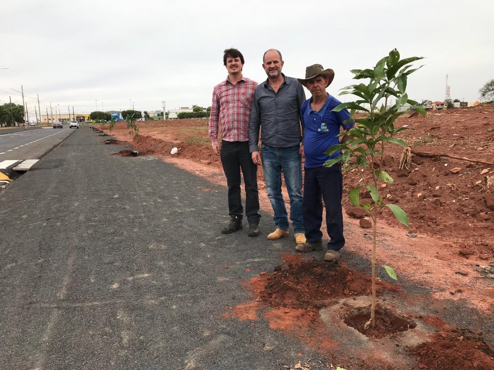 Plantio de Árvores na Avenida Jovis Gonçalves de Souza