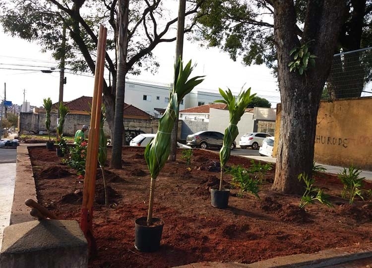 Paisagismo na escola EMEF Dr. João Mendes Júnior