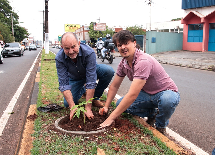 Plantio de mamão na Dom Antônio 