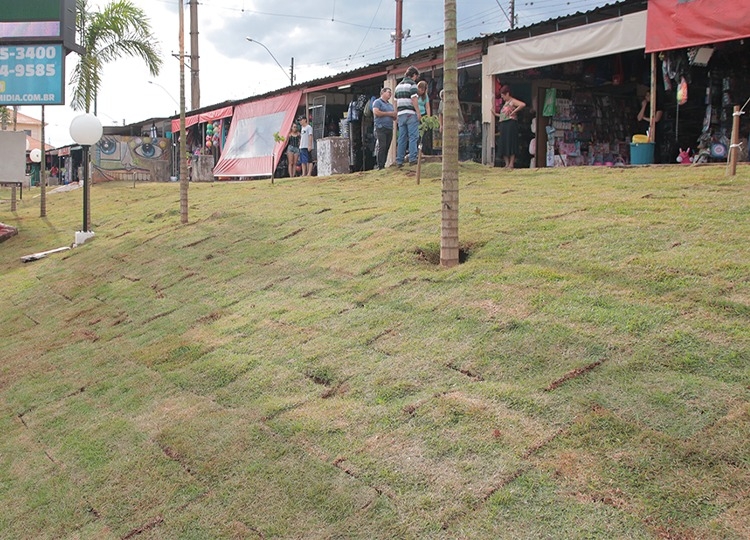 Camelódromo 
