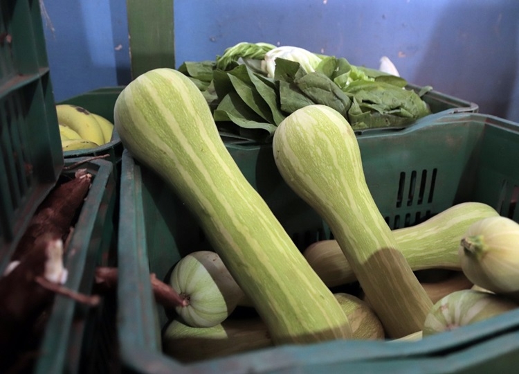 Programa de Aquisição de Alimentos Municipal é retomado em Assis