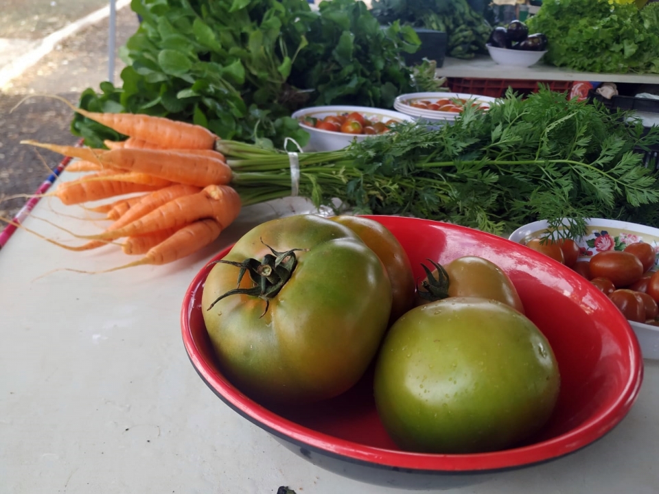 Assis conta com Feira Agroecológica