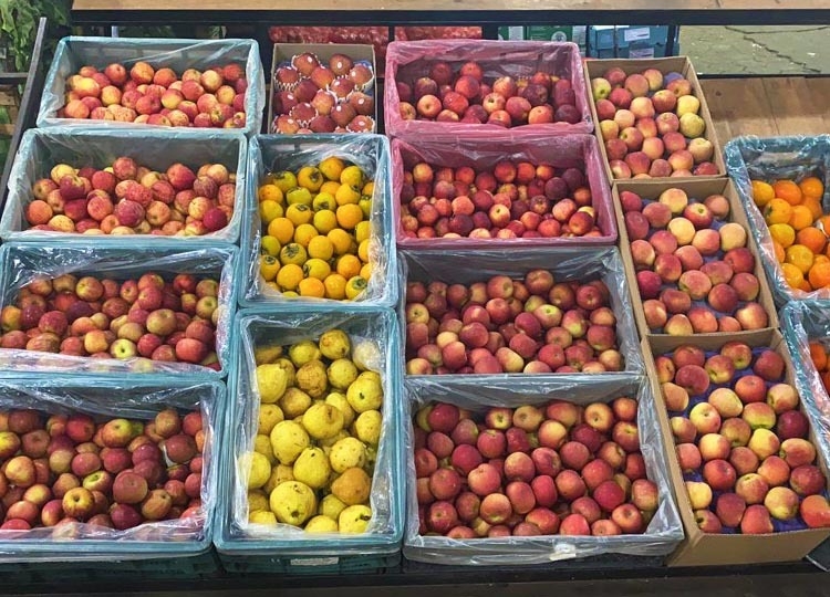 Assis pode se tornar Centro de Abastecimento Regional de Hortifrutis