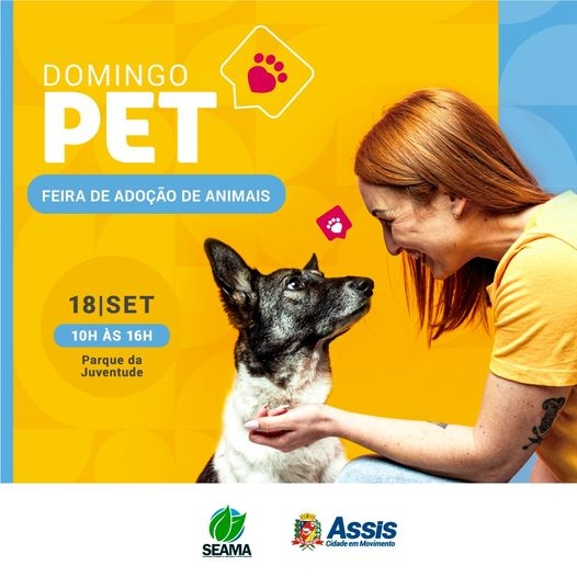 Vem aí o Domingo Pet!