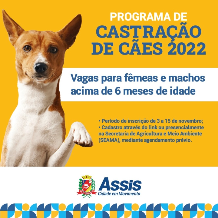 Programa Castração de Cães 2022 🐶
