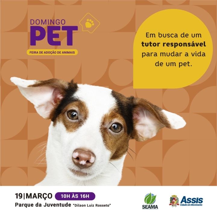 Se estiver procurando um novo amigo peludo, o Domingo Pet é o lugar certo para você!