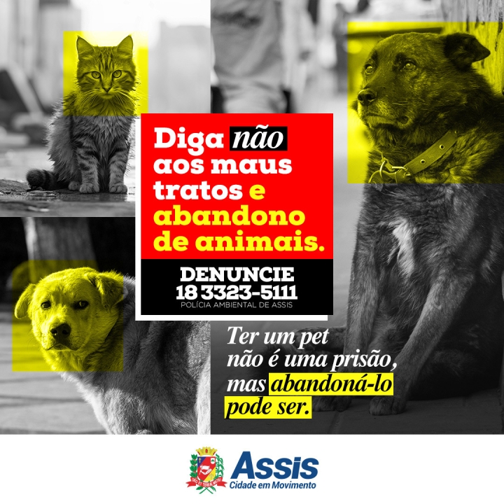 Animais não são brinquedos, são vidas capazes de sentir, como nós.
