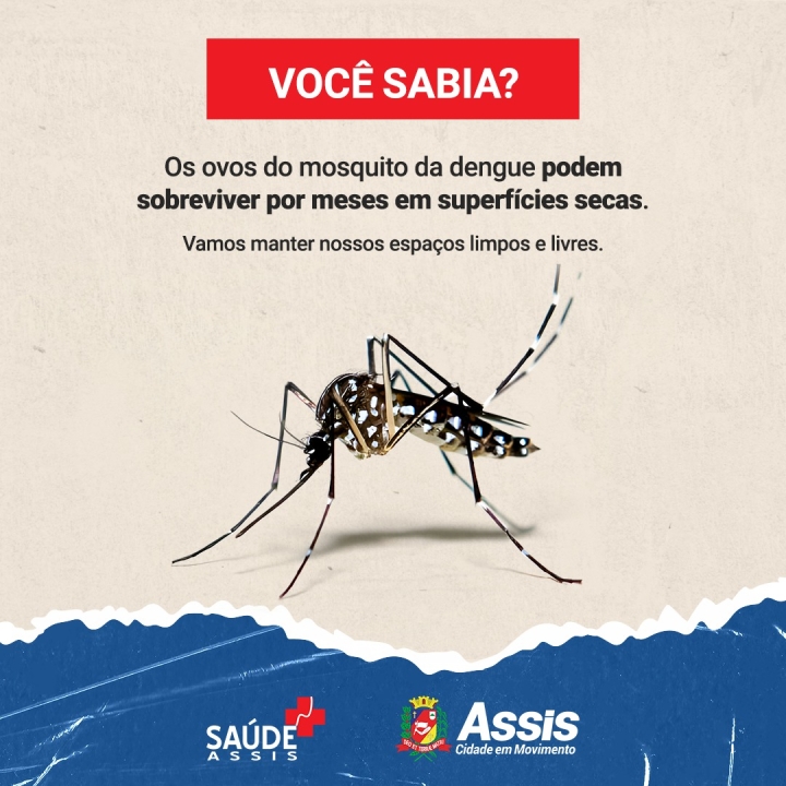 Dengue- Uma responsabilidade de todos