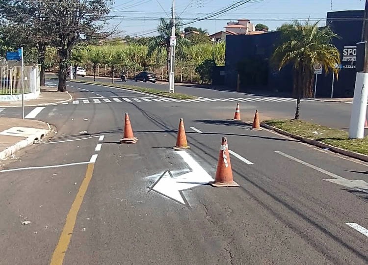 Avenida Otto Ribeiro começa a ser revitalizada
