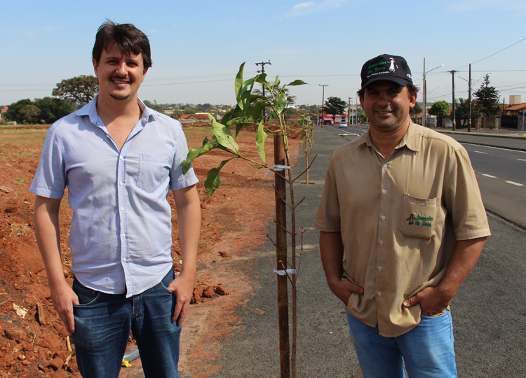 Empresário doa mudas de Jambo do Norte para paisagismo de rua ampliada em Assis