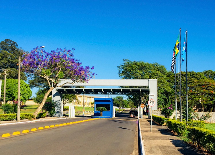 Provas do seletivo para professores temporários acontecem neste final de semana
