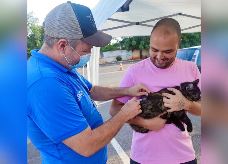 Assis encerra Abril Laranja com vacinação antirrábica em cães e gatos