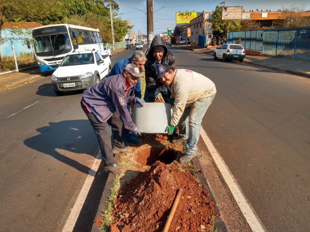 Prefeitura prossegue com projeto de paisagismo na Avenida Dom Antônio
