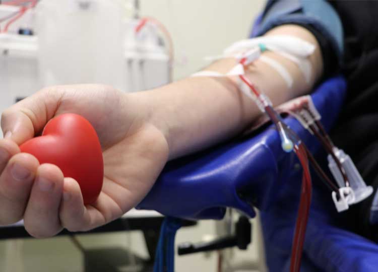 No Dia Mundial do Doador de Sangue nós respondemos várias dúvidas da população
