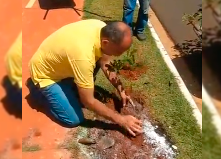 Prefeito José Fernandes e equipe da SEAMA fazem plantio na Integração