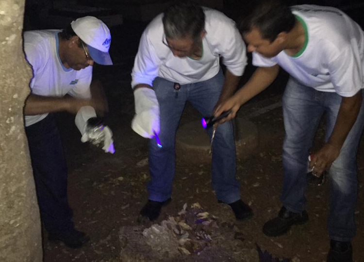 Prefeitura faz captura de escorpiões no Cemitério