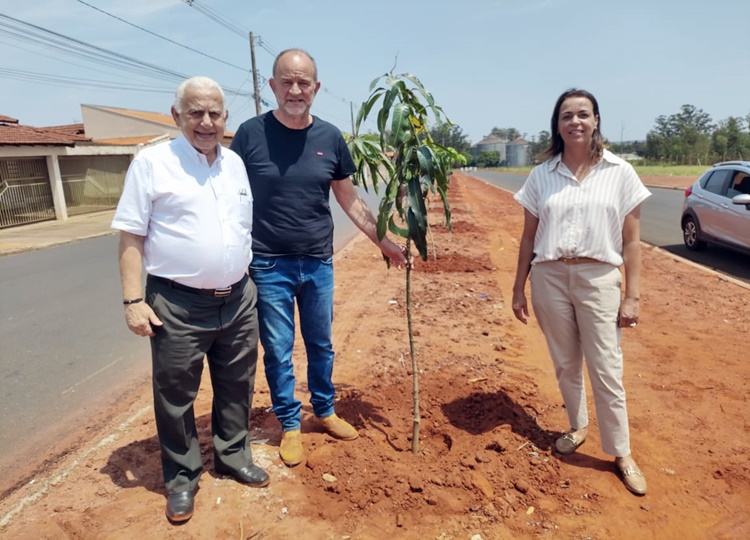 Prefeitura realiza plantio de pés de manga no canteiro central da Rua da Primavera