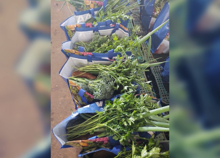 Prefeitura inicia entrega de produtos agroecológicos para usuários da saúde previamente selecionados