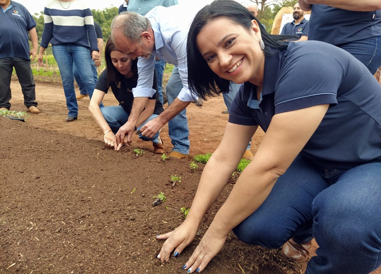 Atividades da Horta Comunitária – Semeando o Futuro são retomadas em Assis