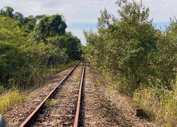 Prefeitura inicia construção de rota turística com trenzinho entre Parque das Acácias até o bairro do Cervinho em Assis