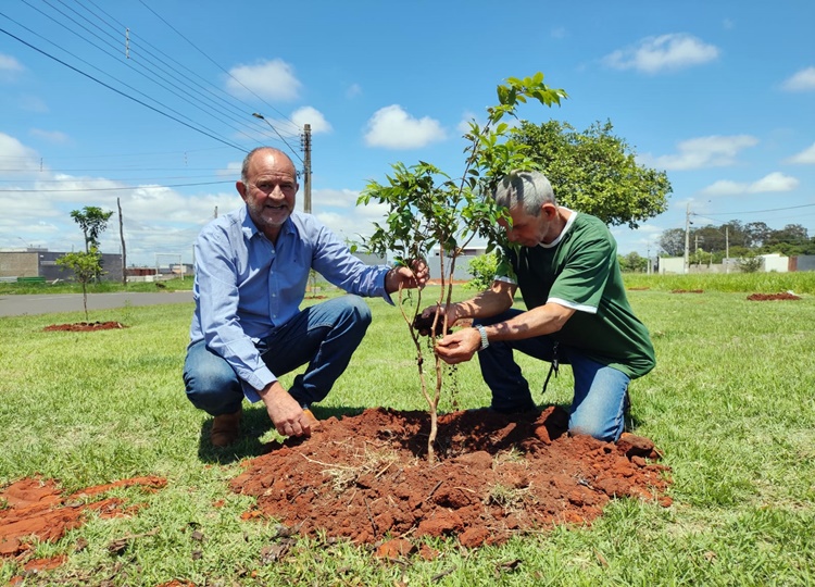 Prefeitura de Assis realiza plantio de 55 árvores frutíferas no Parque Universitário
