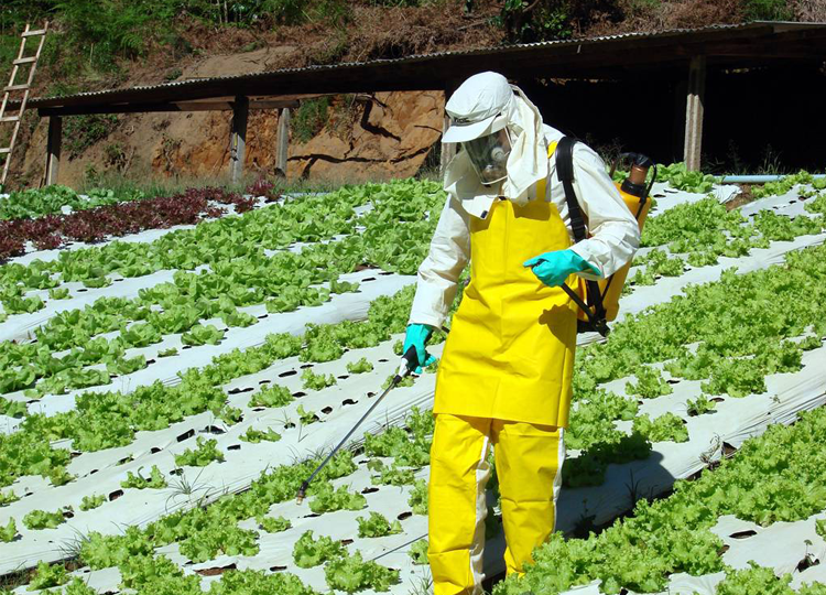 Prefeitura de Assis apoia curso de agrotóxicos