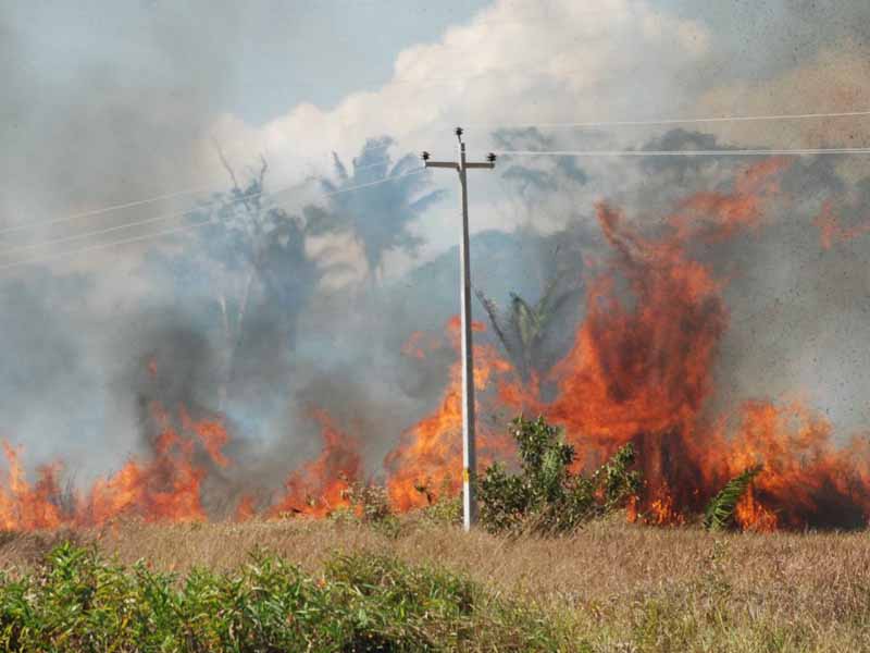 Fumaça causada pela queimada gera riscos à saúde