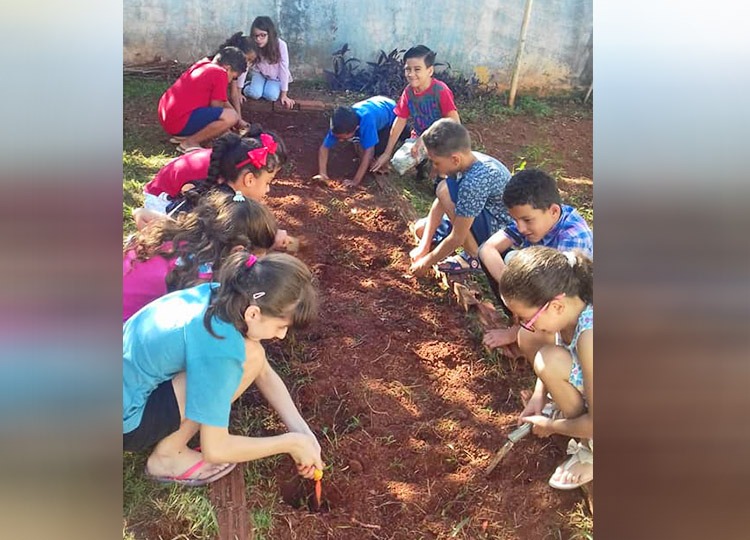 Meio Ambiente é tema de projeto na escola João de Castro