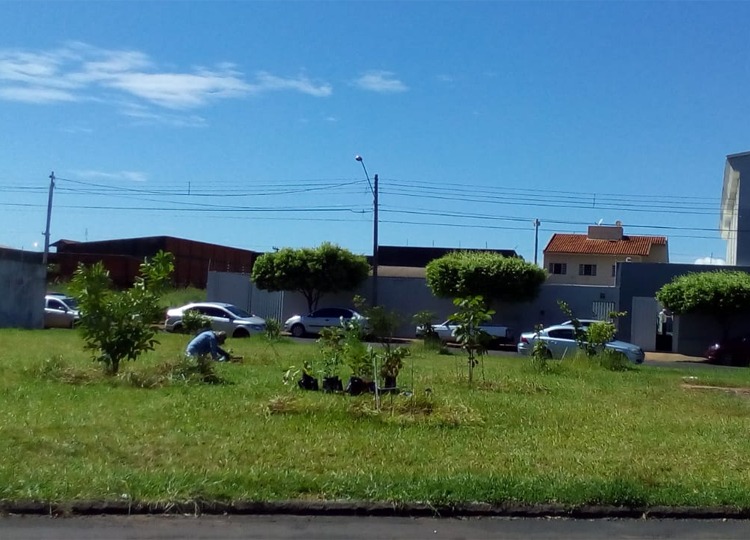 Meio Ambiente intensifica ações do Município Verde Azul