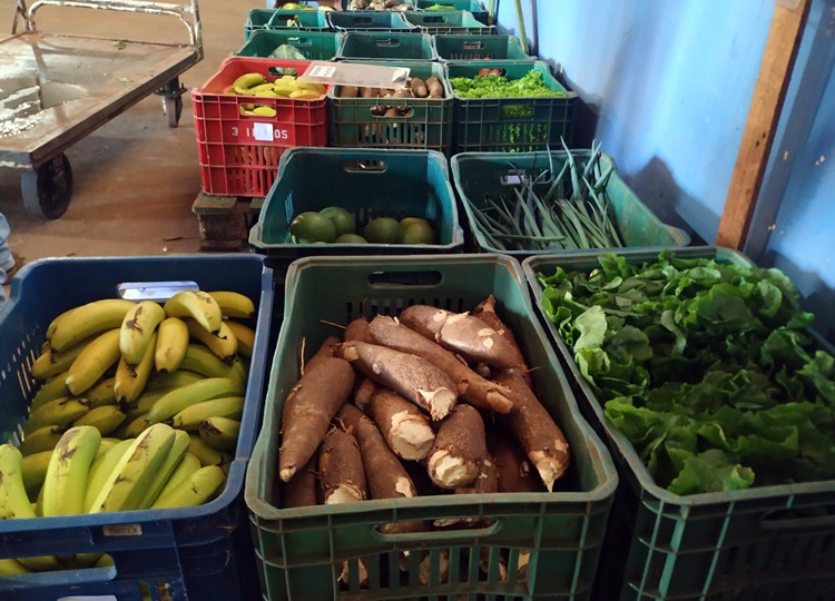 Programa de Aquisição de Alimentos Municipal é retomado em Assis