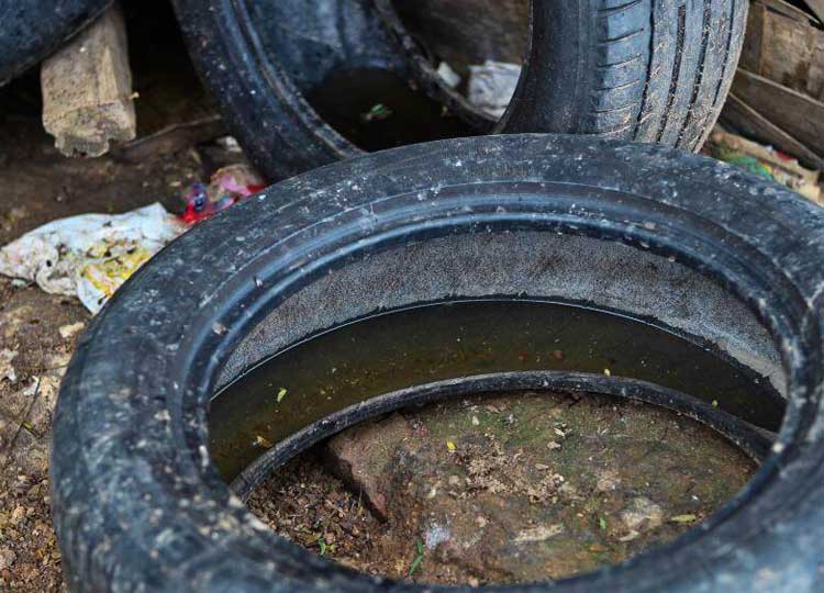 Saúde promove grande arrastão contra a dengue nesse sábado, 20, no Colinas