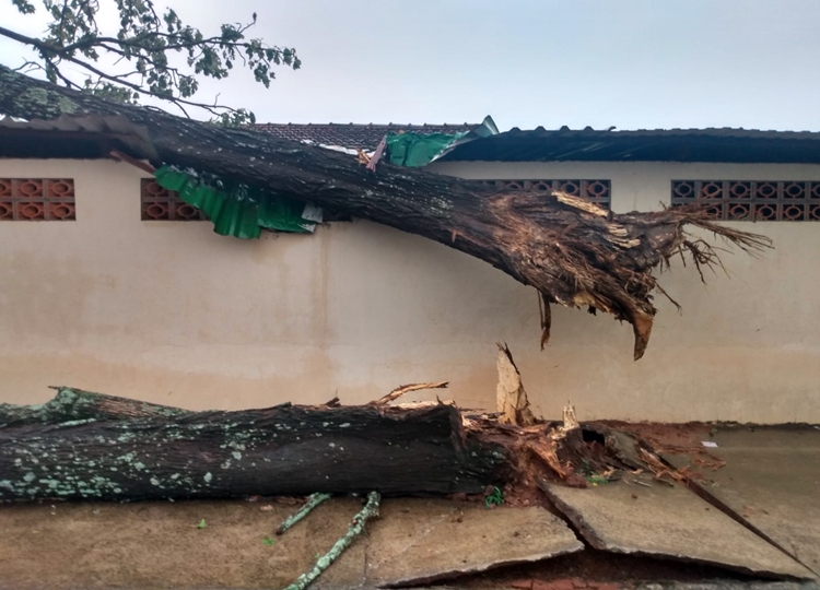 Forte chuva com ventos de até 60 km/h provoca estragos em Assis