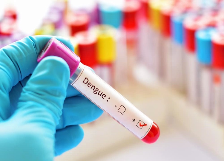 Assis fecha agosto com 576 casos de Dengue confirmados