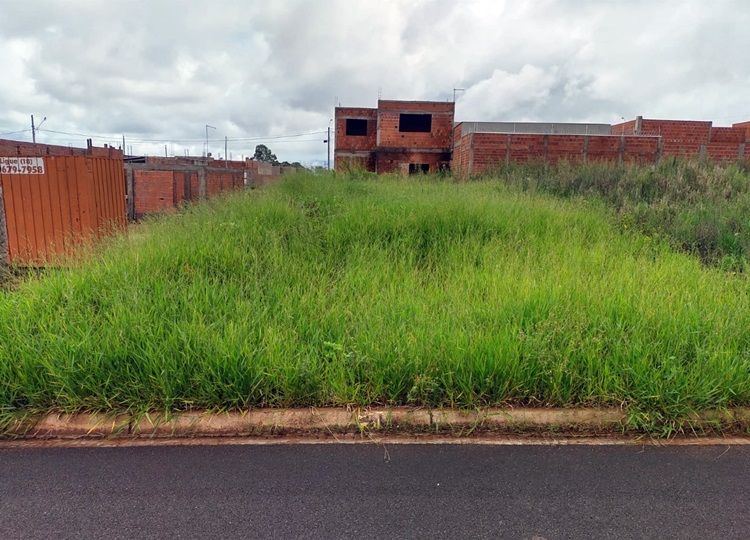 MEIO AMBIENTE EM MOVIMENTO: Prefeitura mantém fiscalização e autuações de terrenos com mato alto