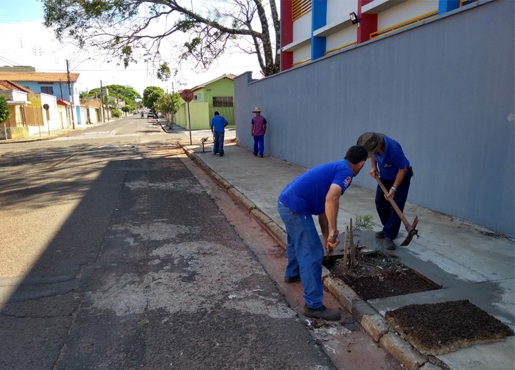 Meio Ambiente inicia instalação de Floresta Urbana