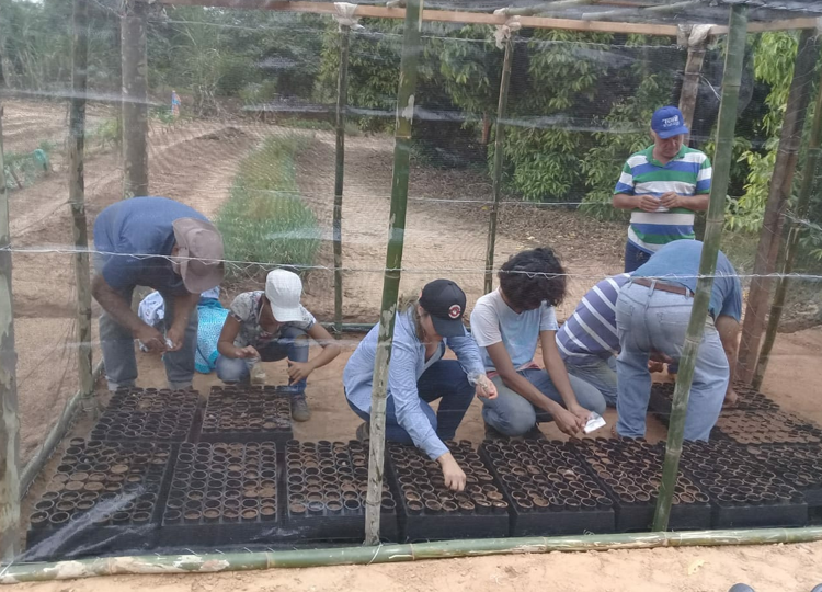 Curso que foi oferecido pelo SEAMA auxilia na preservação ambiental