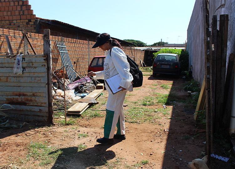 Assis tem queda nos casos de Dengue e Saúde orienta população a continuar com os cuidados de prevenção