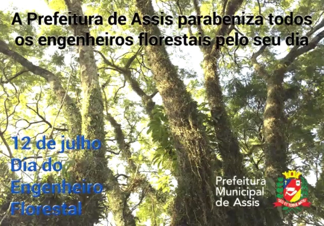 12 de julho Dia do Engenheiro Florestal