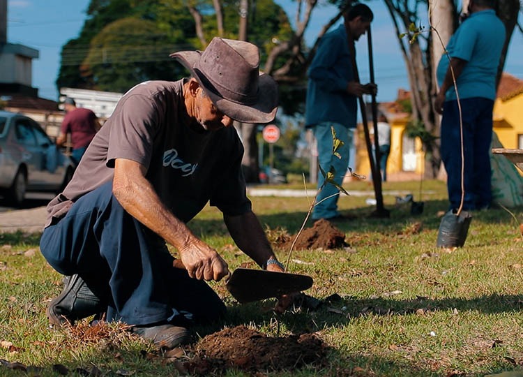 Praça da ‘Concha Acústica’ recebe plantio de ipês amarelos 