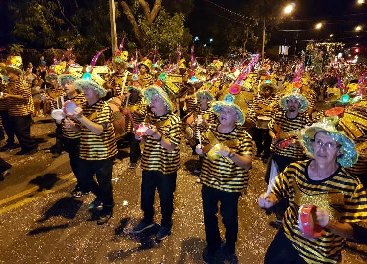 Bloco do Agita Assis e a escola de samba da Vila Operária alegram o desfile de rua na Avenida Davi Passarinho