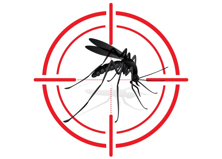 Em Assis, carreata contra a Dengue acontece neste sábado, 16