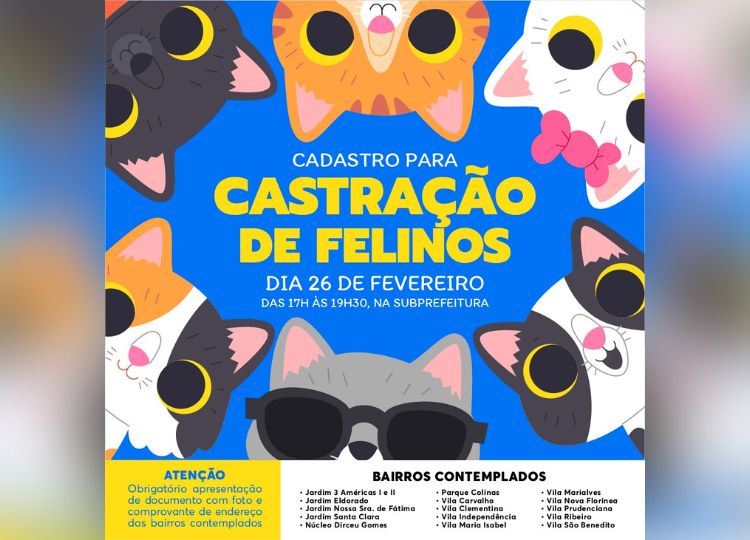 Subprefeitura realiza cadastro para castração de gatos durante o Boa Noite Assis