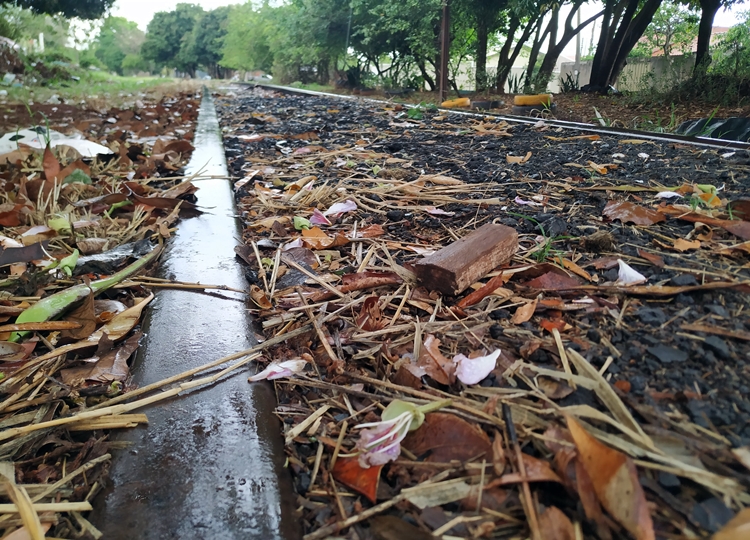 Prefeitura intensifica fiscalização para evitar furto de trilhos e dormentes da linha férrea