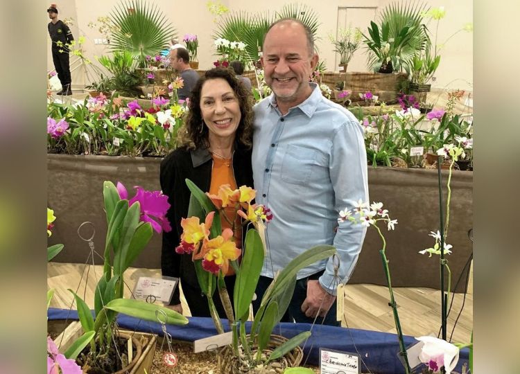 52ª Exposição Nacional de Orquídeas em Assis começa nesta sexta-feira