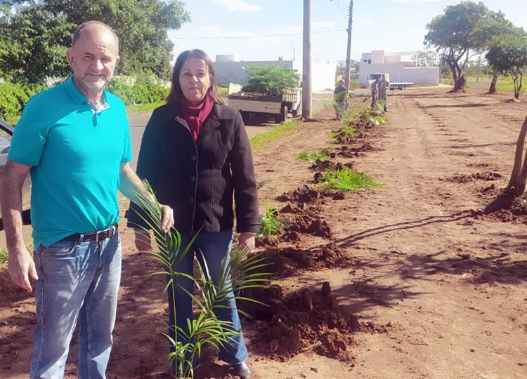 MEIO AMBIENTE EM MOVIMENTO: Prefeitura inicia plantação de palmito Juçara e mudas de açaí no Parque Universitário