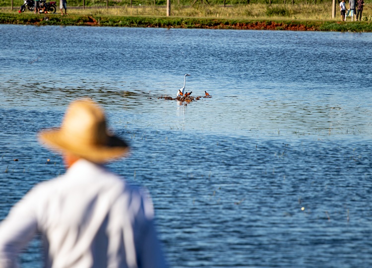Testes realizados na água do lago do Parque das Águas revelam qualidade satisfatória para pesca